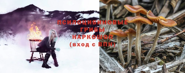 гидропоника Баксан