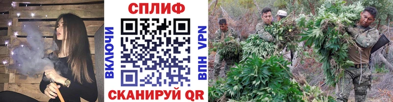 Бошки Шишки Ganja  omg зеркало  Сысерть  купить  сайты 